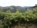 仙山線 熊ヶ根～作並