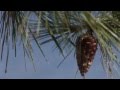 Bikelife Mare d’Abruzzo, abruzzo discover! Bikelife Mare d’Abruzzo, abruzzo discover!
