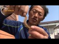 지네 먹는 안마도 사람들