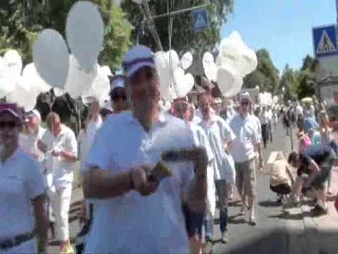 Der Domweihsumzug Teil 1 2 Der Domweihsumzug Teil 1 2