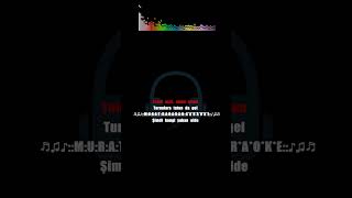 Turnalara Tutunda Gel Karaoke Cover Mi Karar