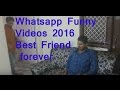 Whatsapp Funny Videos 2016 - Best Friend forever