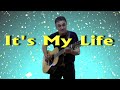 Bon Jovi - It's My Life - Acoustic Guitar Arrangement - Enyedi Sándor