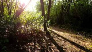 Watch Jon Anderson Take A Little Time Out video