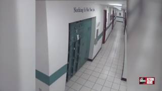 Watch Gulfport Police Officer Startled By Mouse