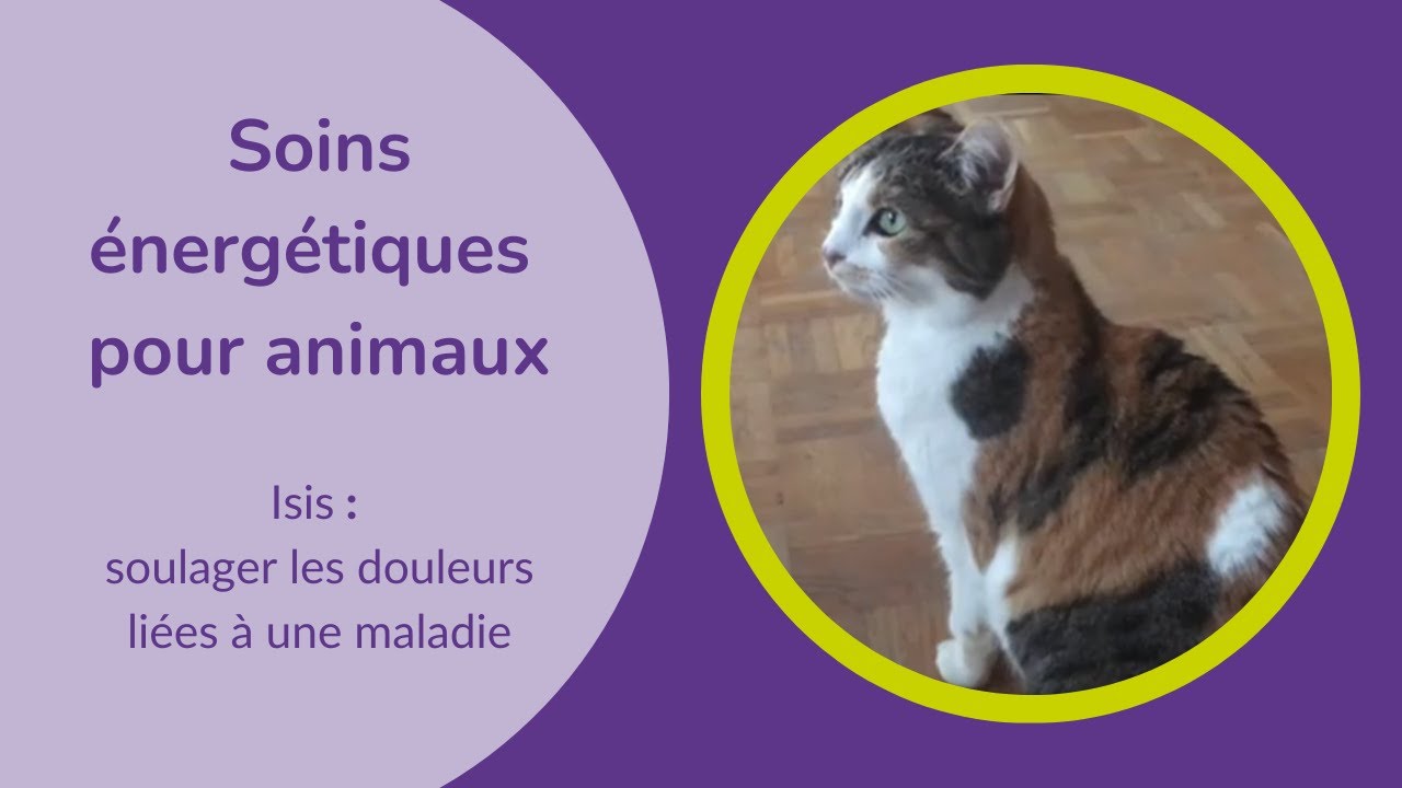Toutes les vidéos