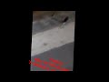 illegalità