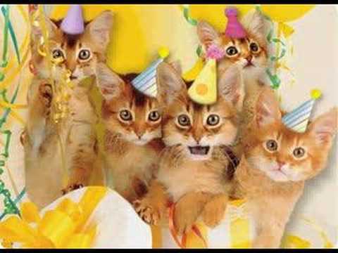 E-birthday card clip of kittens miaowing their greeting. Happy Birthday!
