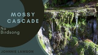 Forest Waterfall Nature Sounds W O Birds Singing Relaxing Soothing Sound Of Water Meditation Forest Waterfall Nature Sounds W O Birds Singing Relaxing Soothing Sound Of Water Meditation
