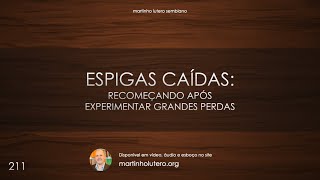 Martinho Lutero Semblano - Espigas caídas