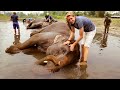 Follow Me Around Nepal