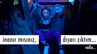 İstanbulda Gece Hayati İlonun Doğum Günü, Civciv Uyutmanın Incelikleri Ve Elit Asansörler