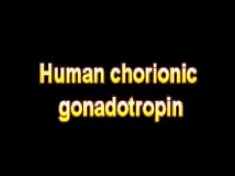 Header of human chorionic gonadotropin