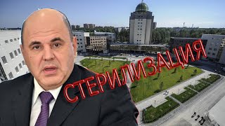 Мишустин, Новосибирск: стерилизация общественного пространства