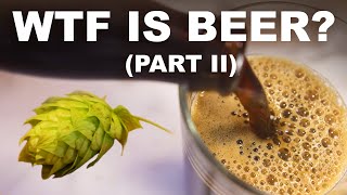 Chemistry Of Beer, Part Ii Hops To Keg