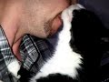 cat nuzzling