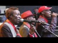 Orchestre Les Mangelepa - Mimba - LIVE at Afrikafestival Hertme 2016