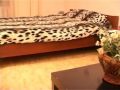 Видео safari kiev apartment