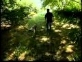 Dog Breeds 101 Video: Bulldog