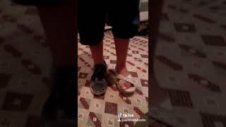 Işte Bu Tarz Benim