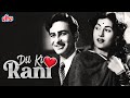 मधुबाला और राज कपूर सुपरहिट मूवी दिल की रानी | Madhubala & Raj Kapoor Romantic Movie Dil Ki Rani