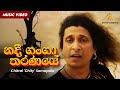 Nadee Ganga Tharanaye (නදී ගංගා තරණයේ) | Chitral 'Chity' Somapala | Official Music Video