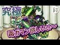 【モンスト】毒強っ!! 毒ガマン欲しいぃ〜ww 究極 バジリスク ノーコン スピクリ 挑戦✩【こっさり&シュンタソ】