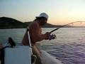 jigging en ibiza