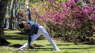 Curso de Formação em Professores de Yoga Integral - YOGAIA BRASIL