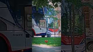 Colectivo Micro Vs Nuevo Expreso Marcopolo G6 Y Flecha Bus Metalsur