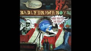 Watch Badly Drawn Boy Tickets To What You Need video