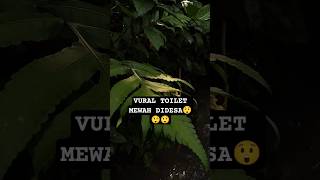 Viral Toilet Mewah Didesa Bogor