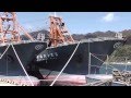 境港 まき網船団 2013年4月