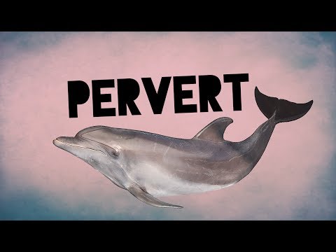 Weird Animal Sex Facts