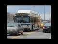 NYC Buses: The Endangered Species (CNG buses)