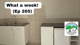 Fish Tank, Rental Kitchen, and Houdini Dogs: What a week! (Ep 265)