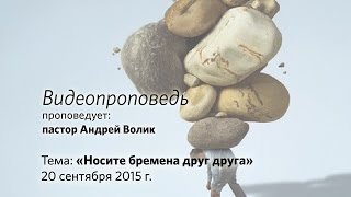Деревянные дома из бруса под ключ в Твери Декоративная Бузина В Дизайне Сада