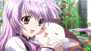 10 School/Romance Anime you haven't seen