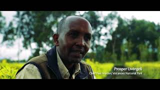 Rwanda Biodiversity Gem Of The Albertine Rift