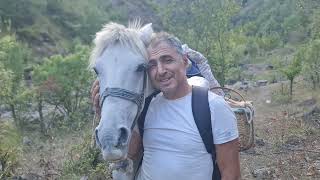 Tokat Ordu Sınırında Kendi Dünyasını Oluşturan Yavuz Çördükün Iki Günlük Yaş Görüntüledim