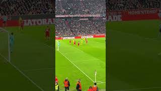 qLsN6mV_2_E Video Image