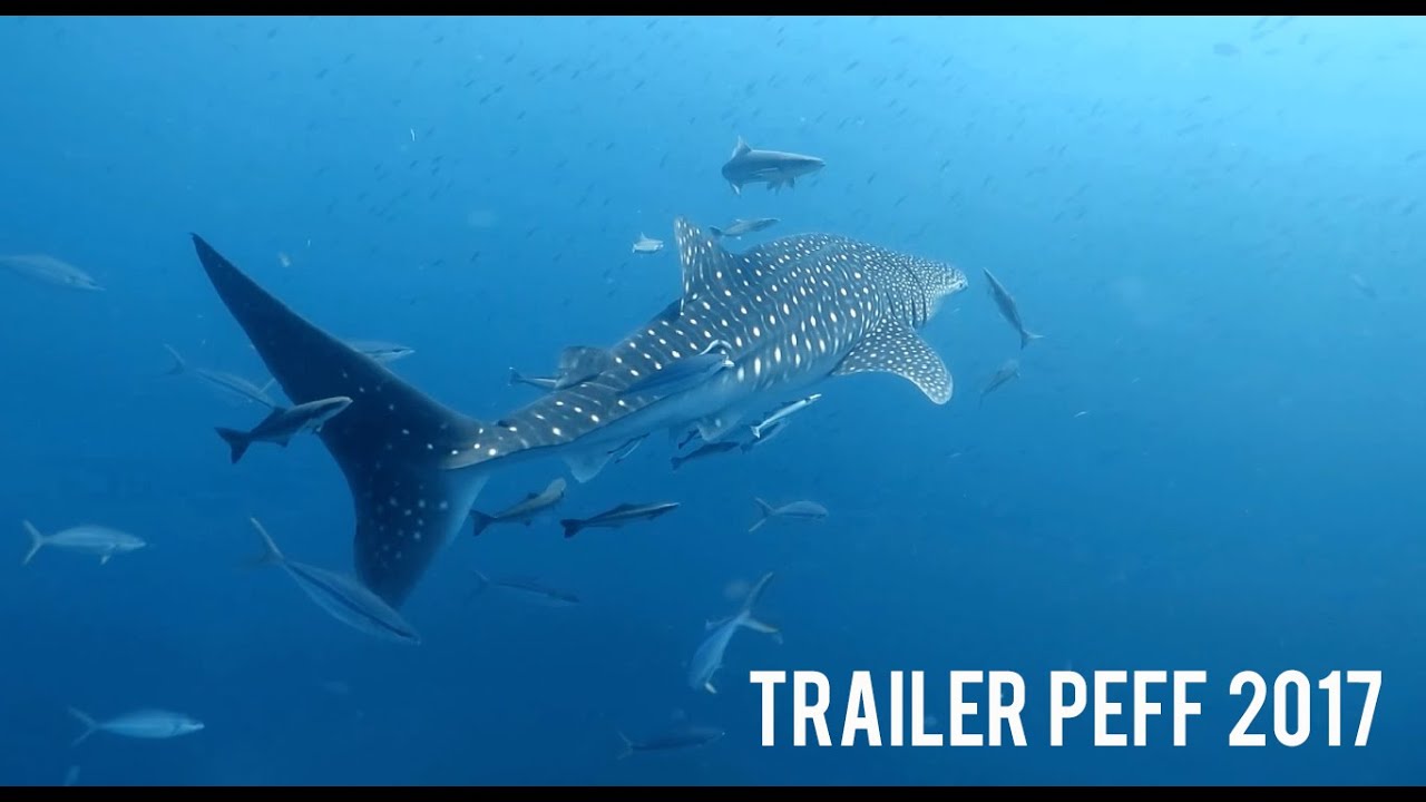 Trailer PEFF 2017 - Festival Internacional de Cine Ambiental