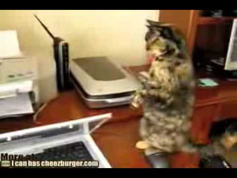 Gadis Beromen Videos Video