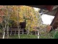 京都の秋　 愛宕念仏寺　紅葉