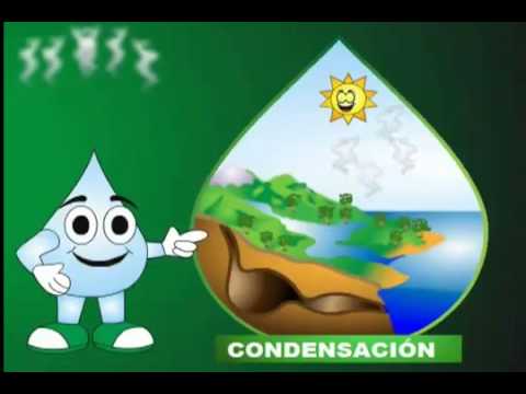 Popular Videos - Natural environment and Water PlayList Popular Videos - Natural environment and Water PlayList