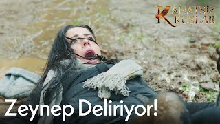 Zeynep Deliriyor - Kanatsız Kuşlar