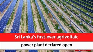 Sri Lanka’s first-ever agrivoltaic power plant declared open (English)