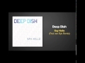 Paul van Dyk Remix of SAY HELLO by Deep Dish