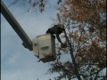 John Egart -- Tree Removal with the Bucket Truck