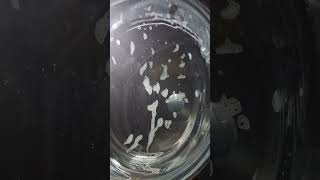 Lg Thinq 9 Kg Service Mode Wash Full Vídeo